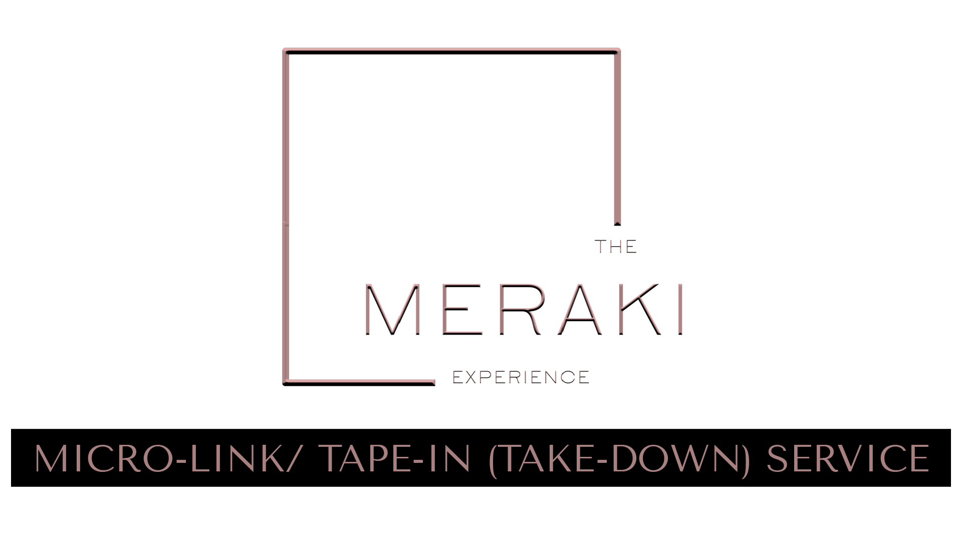 MICRO-LINK/ TAPE-IN (TAKE-DOWN) SERVICE