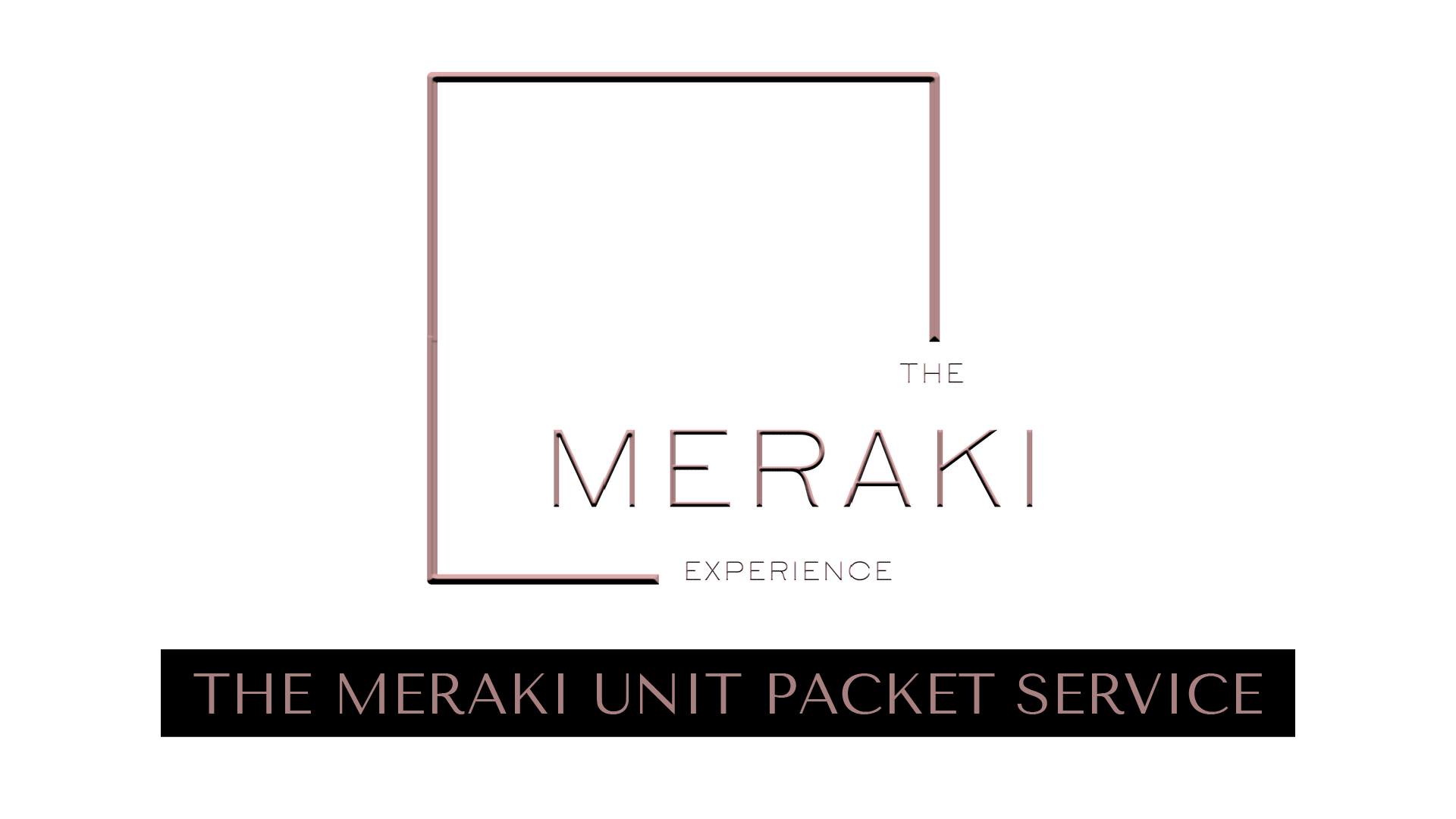 THE MERAKI UNIT PACKET SERVICE